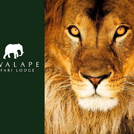 Kwalape Safari Lodge Kasane Exteriér fotografie