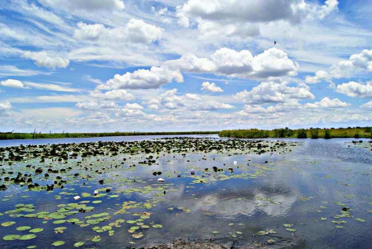 Kwalape Safari Lodge Kasane Exteriér fotografie
